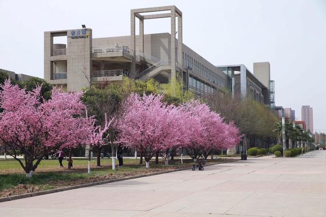 河南省高考2020分数_211分数|郑州大学2020年在全国31省市分专业