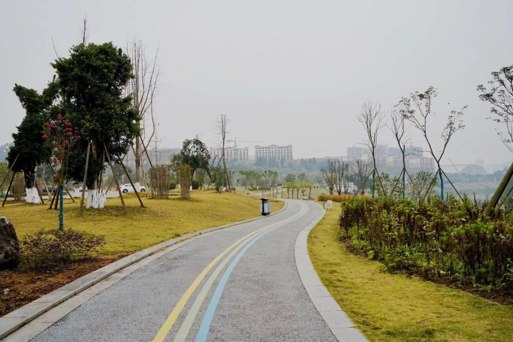 四川大英的环境有多好投资两亿元新建湿地公园光绿道就5000米