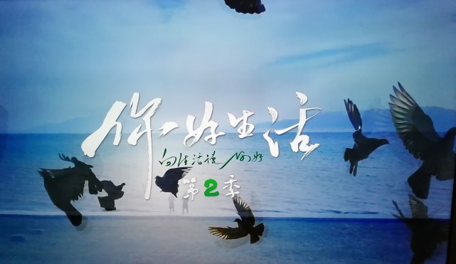 豆瓣90的你好生活第二季央视名嘴的气质内涵爱了爱了