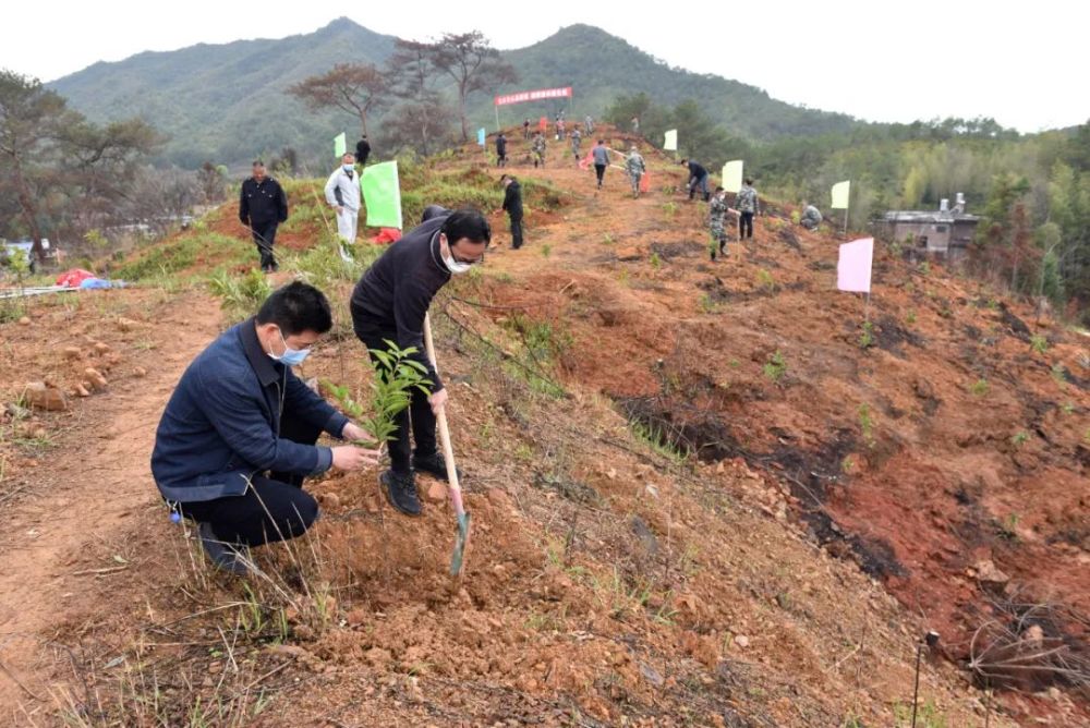 红领行动|长汀县水土保持中心:党旗铸造水保先锋 红色引领绿色发展