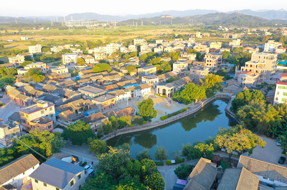 梅菜 温泉,横沥镇掀起美丽乡村旅游热!_腾讯新闻