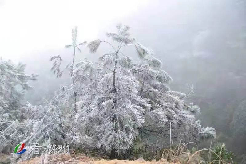 潮州凤凰天池下雪图片