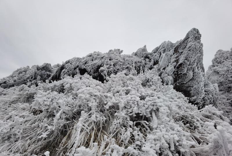 真美清遠連山金子山降雪持續出現霧凇和冰掛