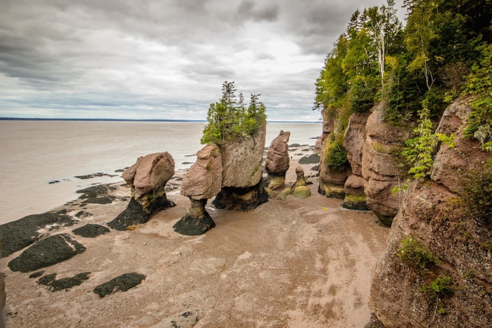 加拿大自然奇观-好望角岩石(hopewell rocks)