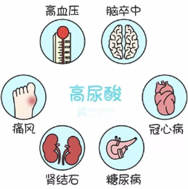 尿酸是嘌呤在人体的代谢终产物,高尿酸对人体多个组织器官都有危害.