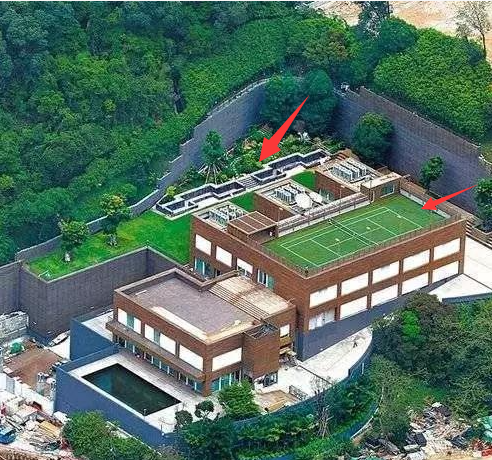 温碧霞客厅骑马,林青霞家引仙鹤,何家劲家是景区,明星豪宅真壕