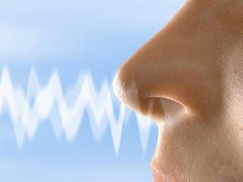 鼻子除了起呼吸作用外,还对吸入的空气有过滤和加温加湿作用,是防止