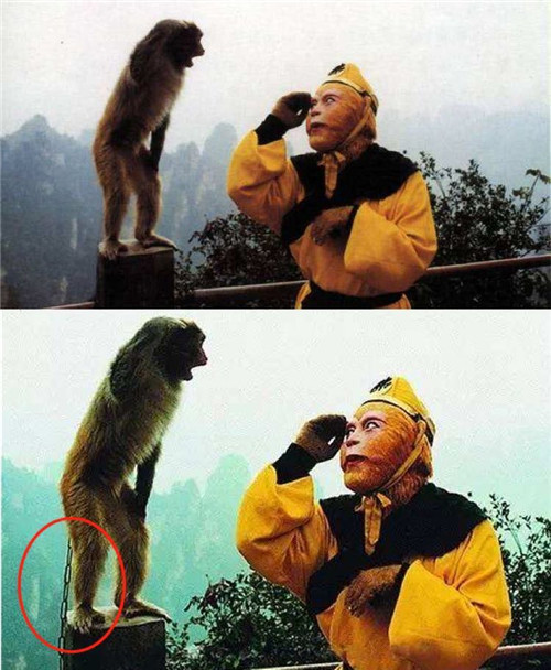 辟谣老照片图2郭沫若并非在定陵猴子给六小龄童敬礼是ps的