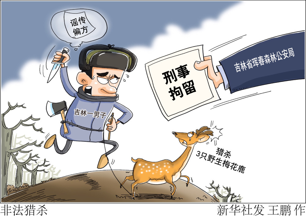 (图表·漫画)【法治】非法猎杀