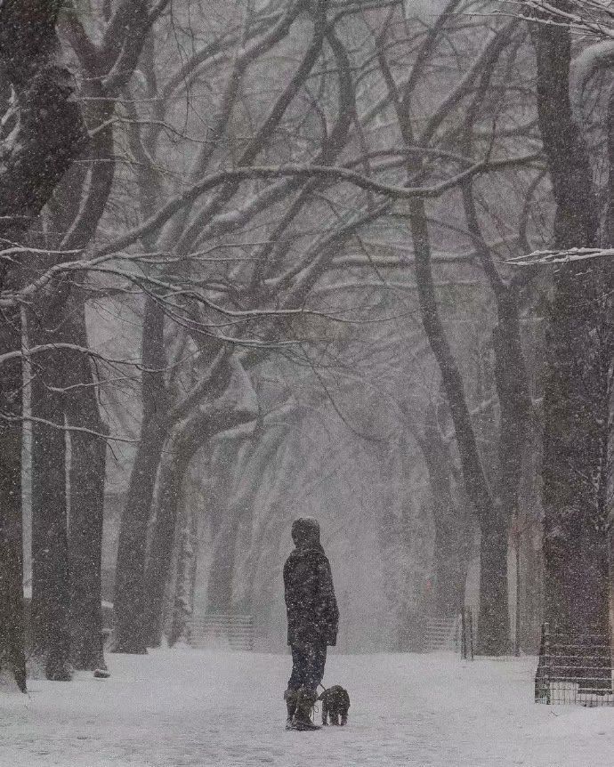 是一个在黑暗里大雪纷飞的人,你再不来我就要下雪了4.