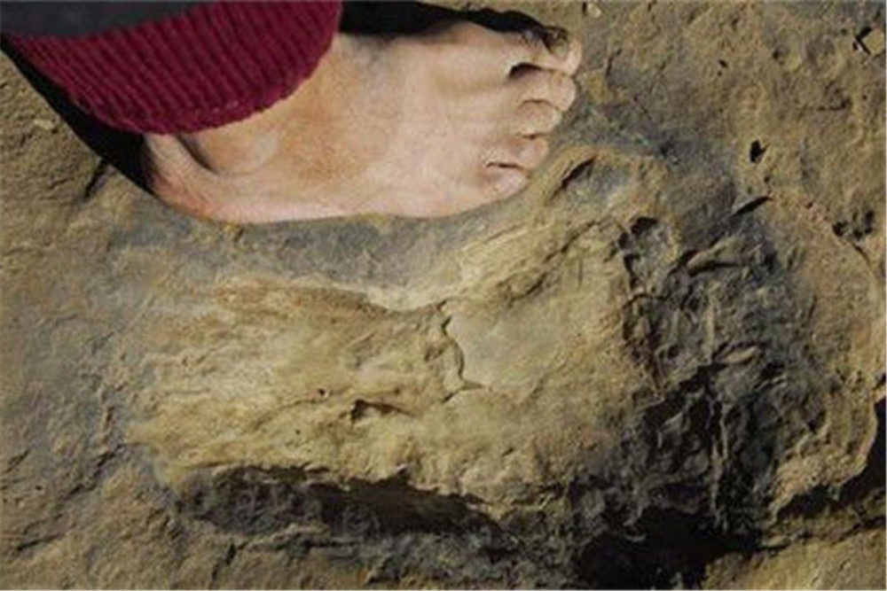 陕西神木县出现数百个巨大脚印有58厘米长不是人类留下的