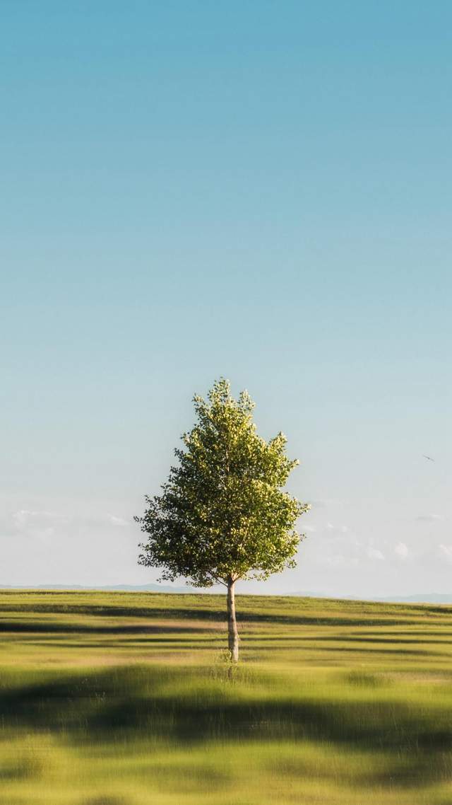70后的人最苦70后的人最累70后的人苦了累了只能自己体会