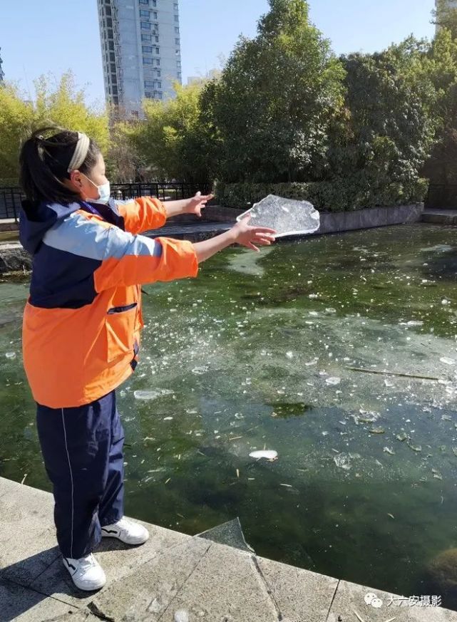 在安徽省六安市街头公园结冰的小池塘边,几名小学生小心翼翼地捞起