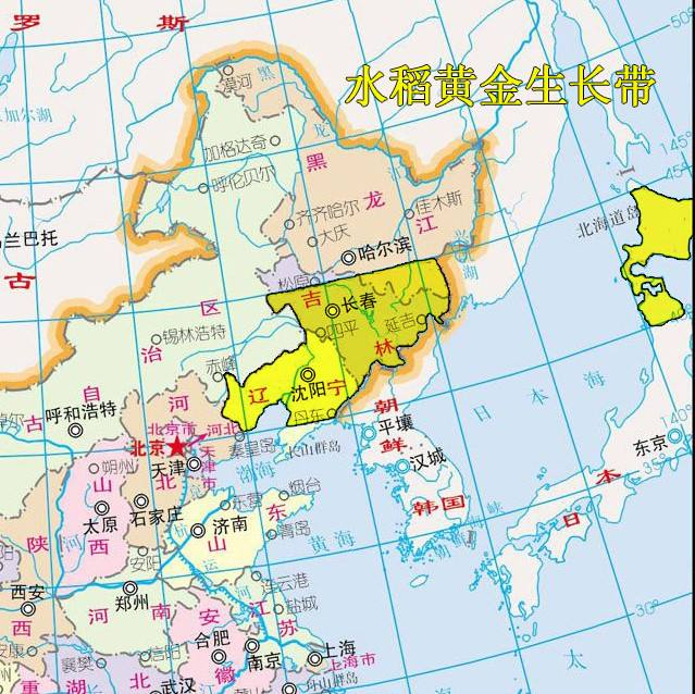 快来瞅瞅你家吃的大米是产自世界黄金水稻带吗