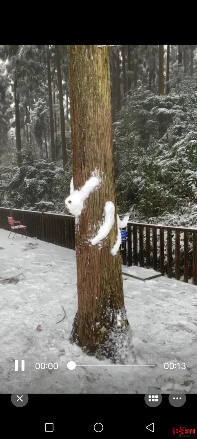 雪后这只卡在树上的兔子出圈了原来是滑翔伞教练堆的雪人儿