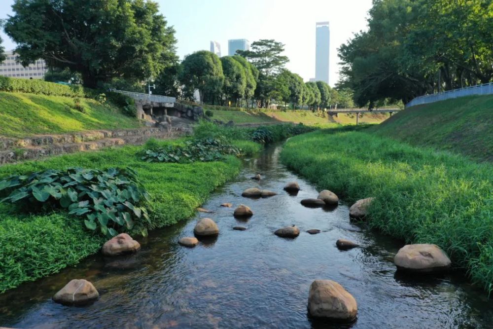 在更高起點上推進水生態建設構建新型水城融合的濱水空間