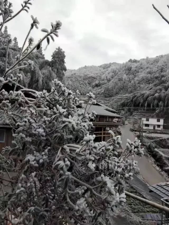 看,广西下雪了!