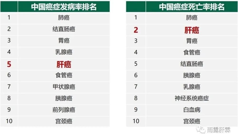 最新全球权威癌症数据显示肝癌高居我国癌症发病率第5位死亡率第2位
