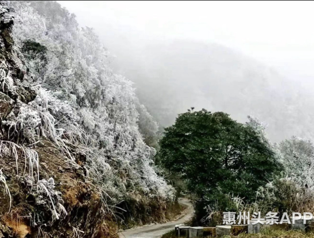 罗浮山下雪图片