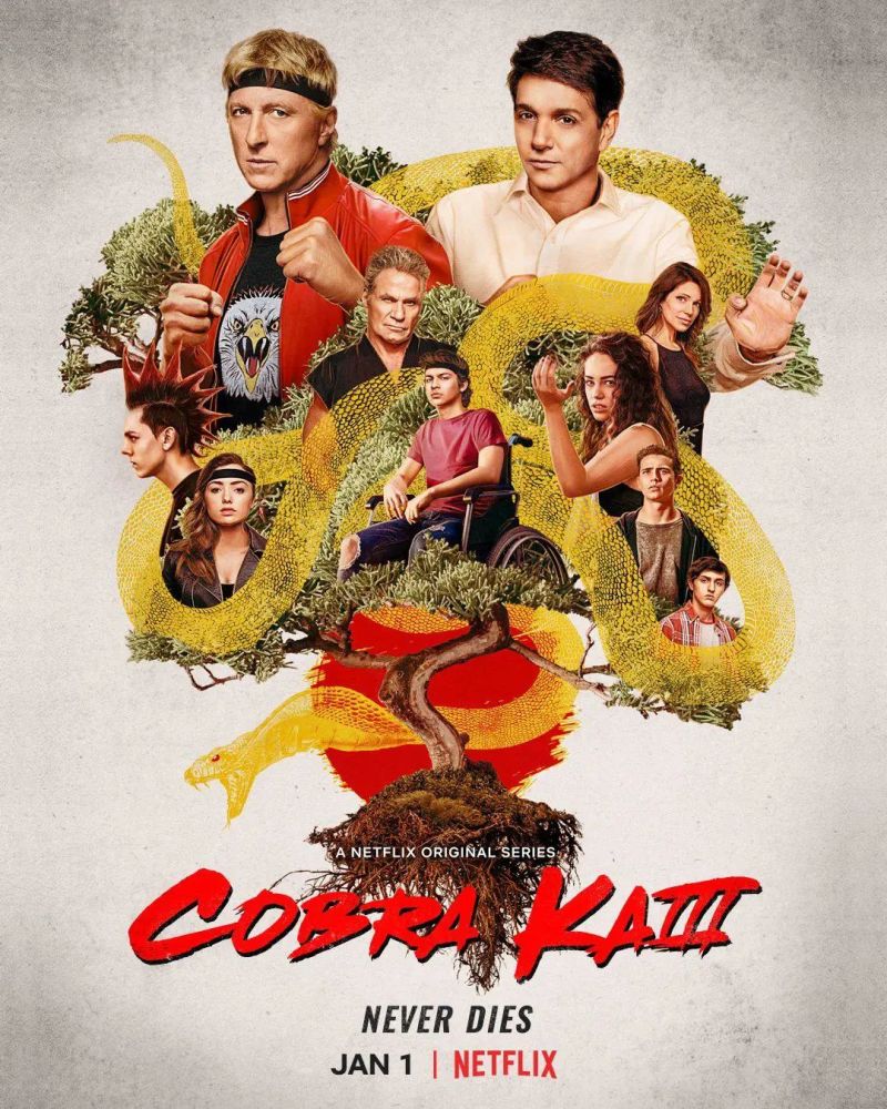 net red 打造续集影集《cobra kai》正式预告上线.