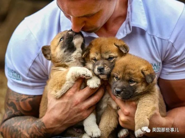 作為一個野生動物管理員,他們的工作範圍其實是