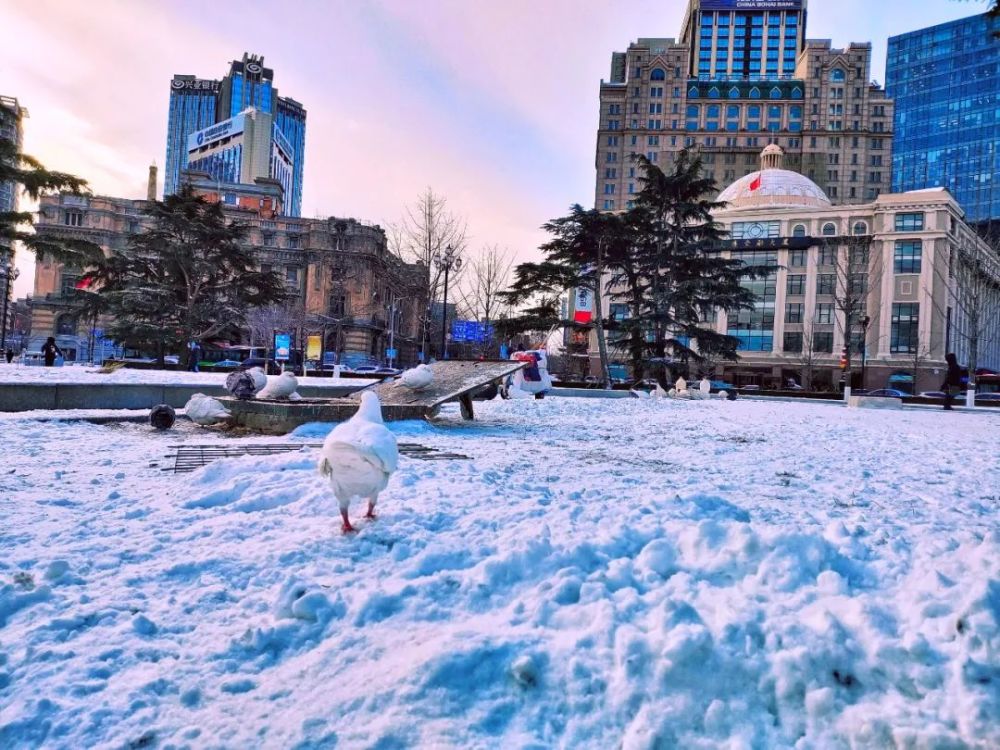这个冬天想去大连看雪