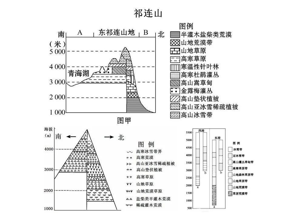 长白山太行山秦岭及其附近贺兰山阿尔泰山贡嘎山横断山区阴山苍山