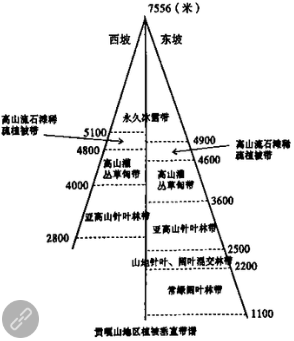 山脉南迦巴瓦峰山地垂直自然带谱分布图阿尔泰山西南坡垂直自然带谱图