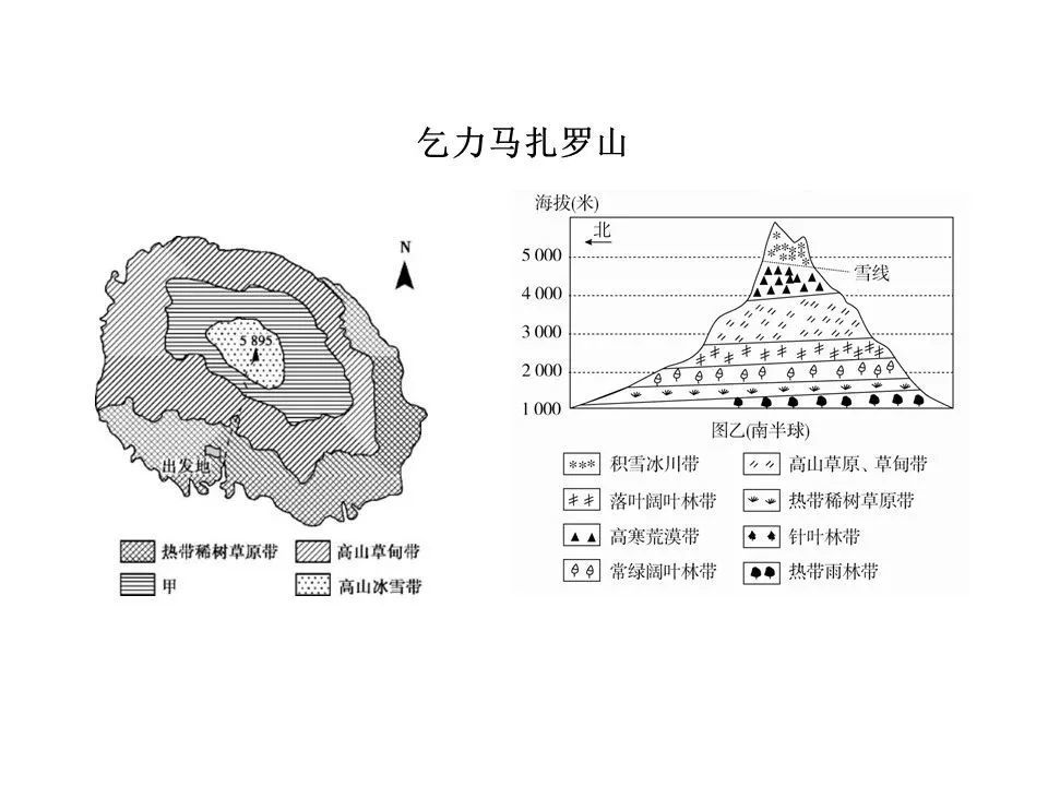 安第斯山脈烏拉爾山脈肯尼亞山喜馬拉雅山脈南迦巴瓦峰山地垂直自然帶