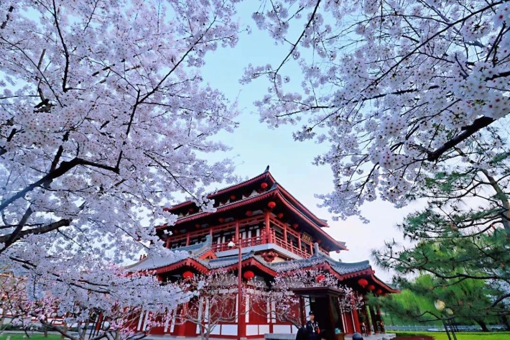 西安大唐芙蓉园的春夏秋冬你觉得哪个美