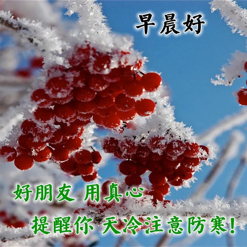 冬天超暖心早上好问候祝福唯美图片 顺心如意的早安祝福_腾讯新闻