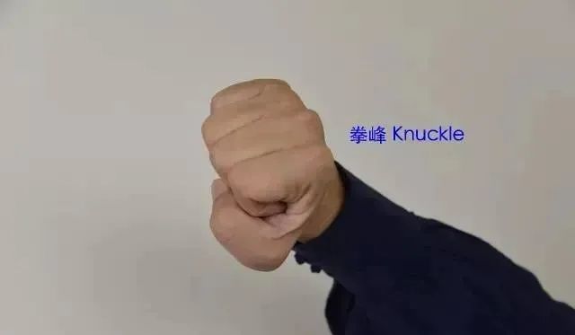 正掌(如揽雀尾之按),平掌(如由按势转单鞭之过渡式),俯掌(如白鹤亮翅