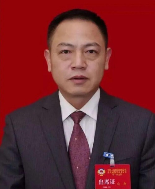 贵州省凯里市政协原副主席向杰利用影响力受贿受贿一审被判有期徒刑四