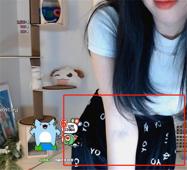 这位女主播比canna还要大六岁,应该是很喜欢他了.