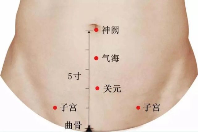 关元名意指任脉气血中的滞重水湿在此关卡不得上行.