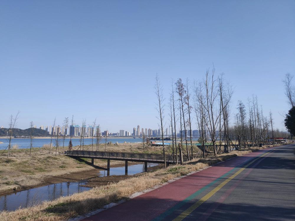 长沙月亮岛这个公园景观在长沙数一数二,听说要修桥了?