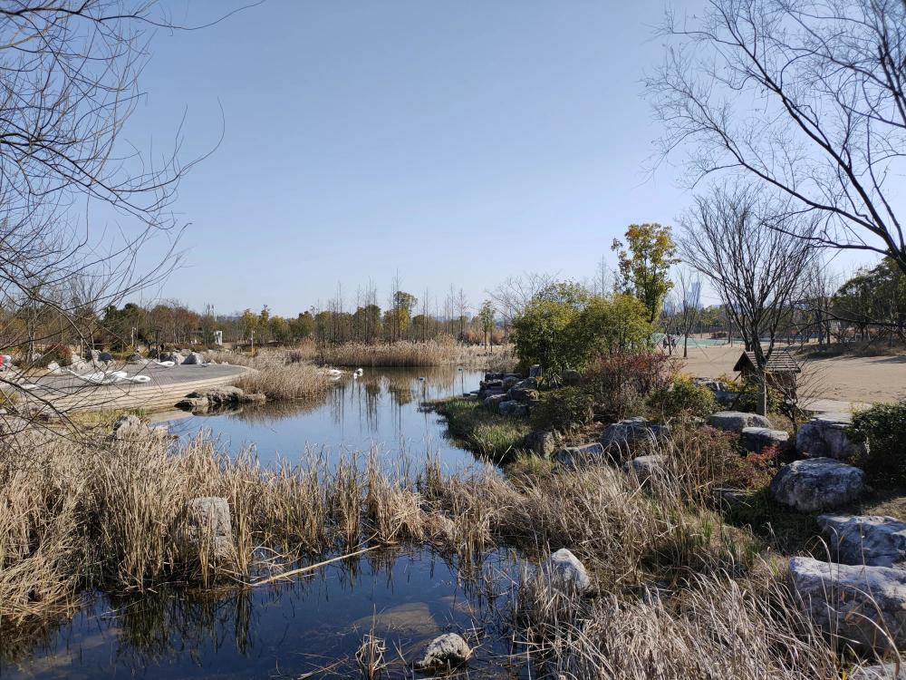 长沙月亮岛这个公园景观在长沙数一数二,听说要修桥了?