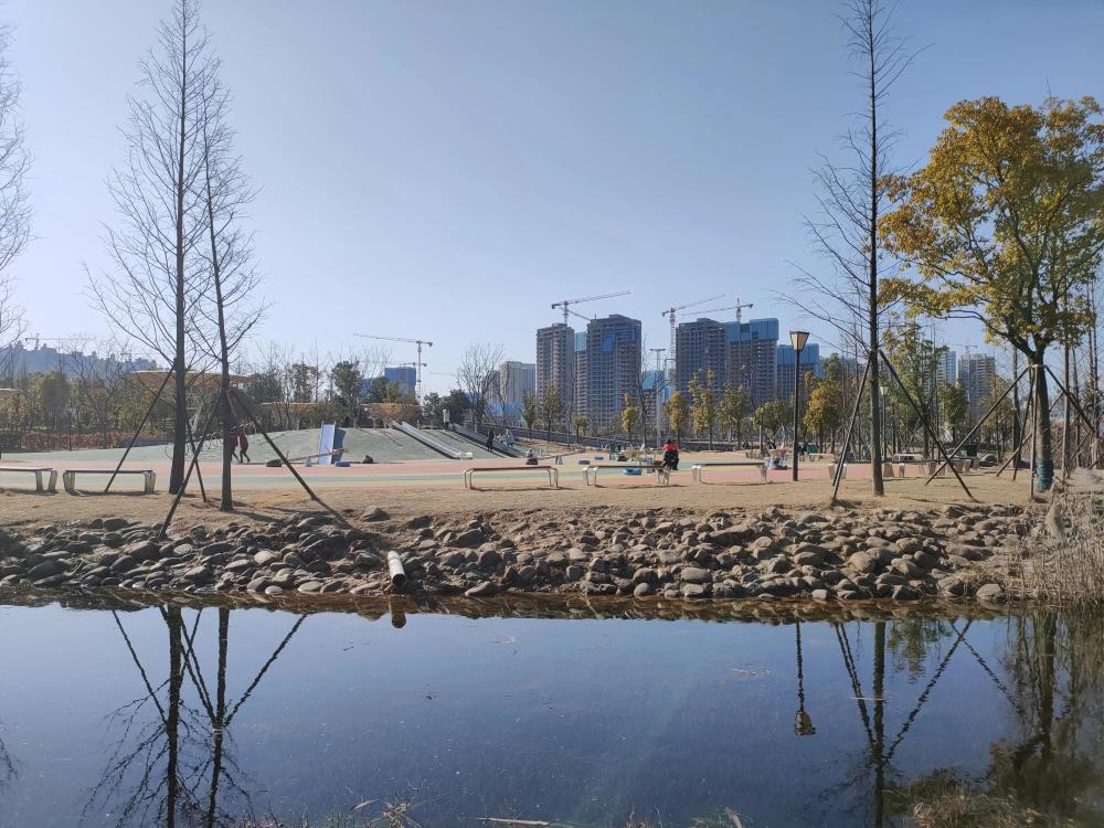 长沙月亮岛这个公园景观在长沙数一数二,听说要修桥了?