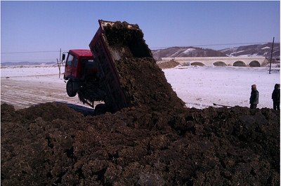 在泥炭层的中上部为氧化环境,含有大量的腐殖酸,木质纤维,树脂等,在