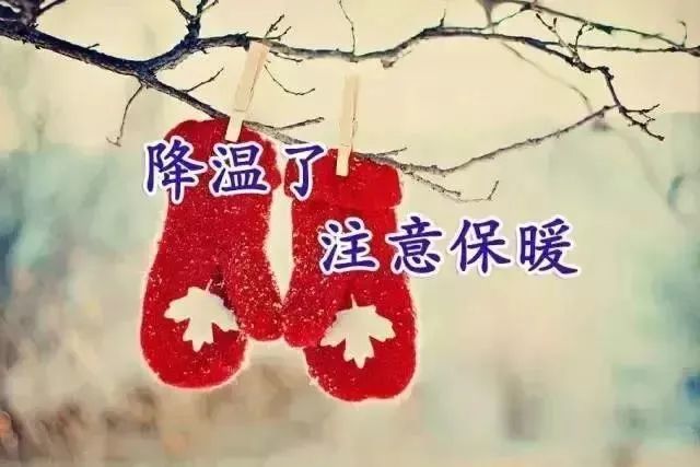 最新冬天早上好問候動畫表情圖片最暖心的寒冬祝福語圖片分享