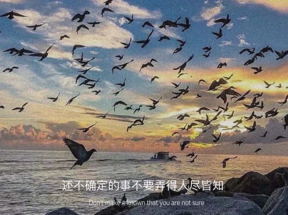 文案丨网易云热评句子