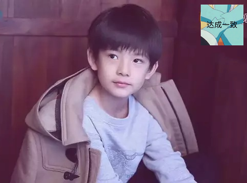 顶顶:继承了爸妈的优点董洁和潘粤明的儿子顶顶,小时候非常水灵可爱