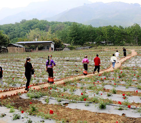 鄉村旅遊看臨滄丨鎮康縣軍賽鄉67岔路自然村