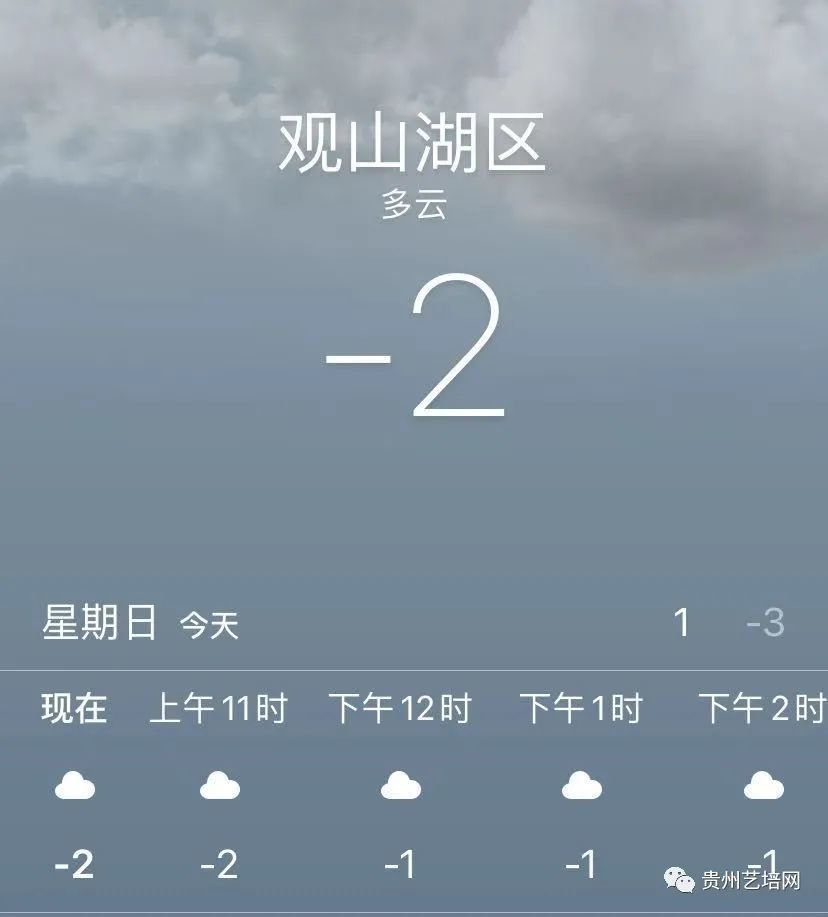 2020贵州美术联考孞_2020年贵州美术联考分数段