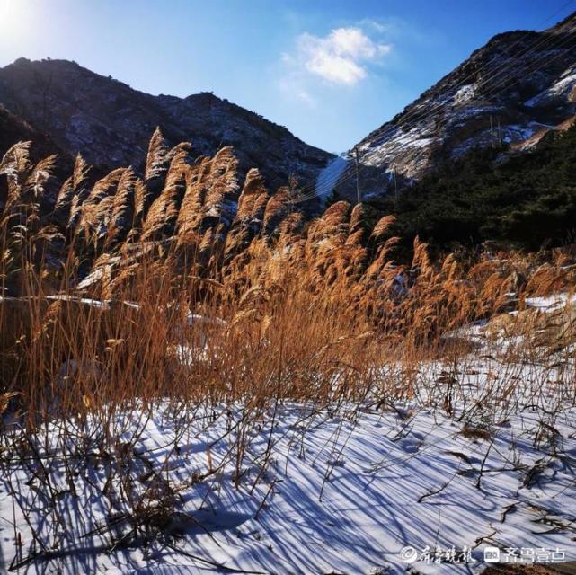 情报站最佳观赏期到了青岛平度现冰石涧景观美丽冰瀑惹人醉