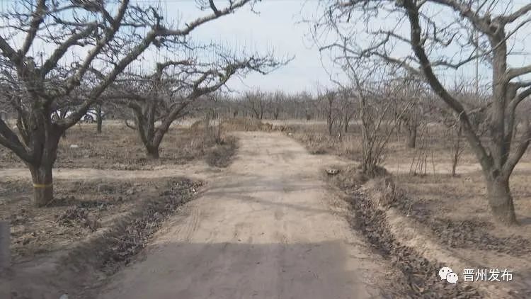 31省新增本土病例85例:河北82例-WordPress极简博客