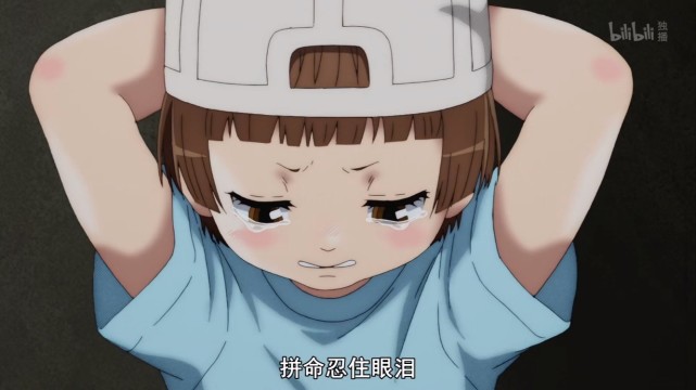 工作细胞第二季血小板戴反帽亲修炼变强获得巨核细胞的金牌