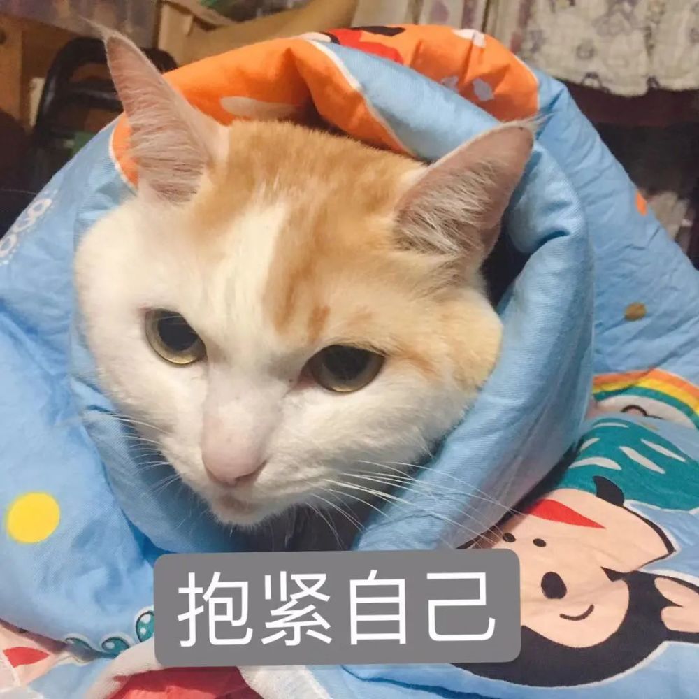 至于每天要穿什么"搜指仔"也给你找来了一图看懂照着这个穿肯定没错!