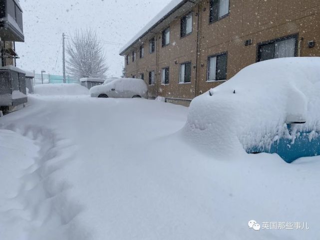 霓虹來了一大波暴風雪,網友卻在網上玩嗨了