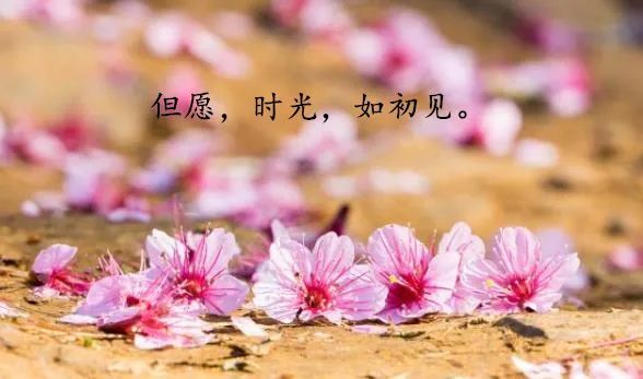 適合發朋友圈的人生哲理心情短語,觸動心靈感悟說說